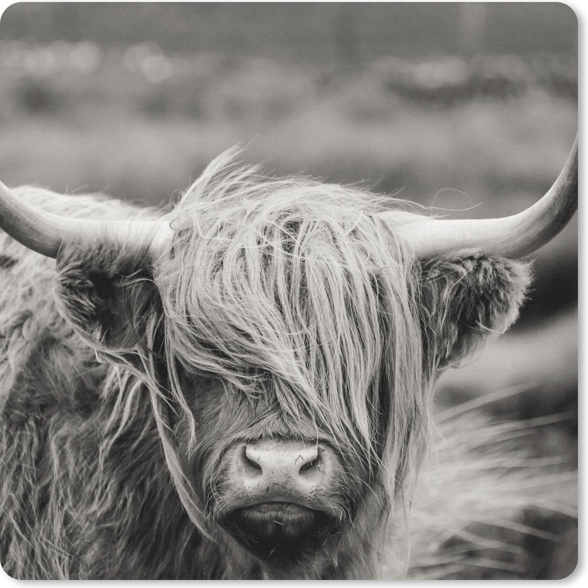 Muismat 20x20 cm - Mousepad Schotse hooglander - Koe - Dieren - Zwart wit - Landelijk - Muismatten