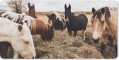 Bureauonderlegger - Dieren - Paard - Paarden - 60x30 - Muismat