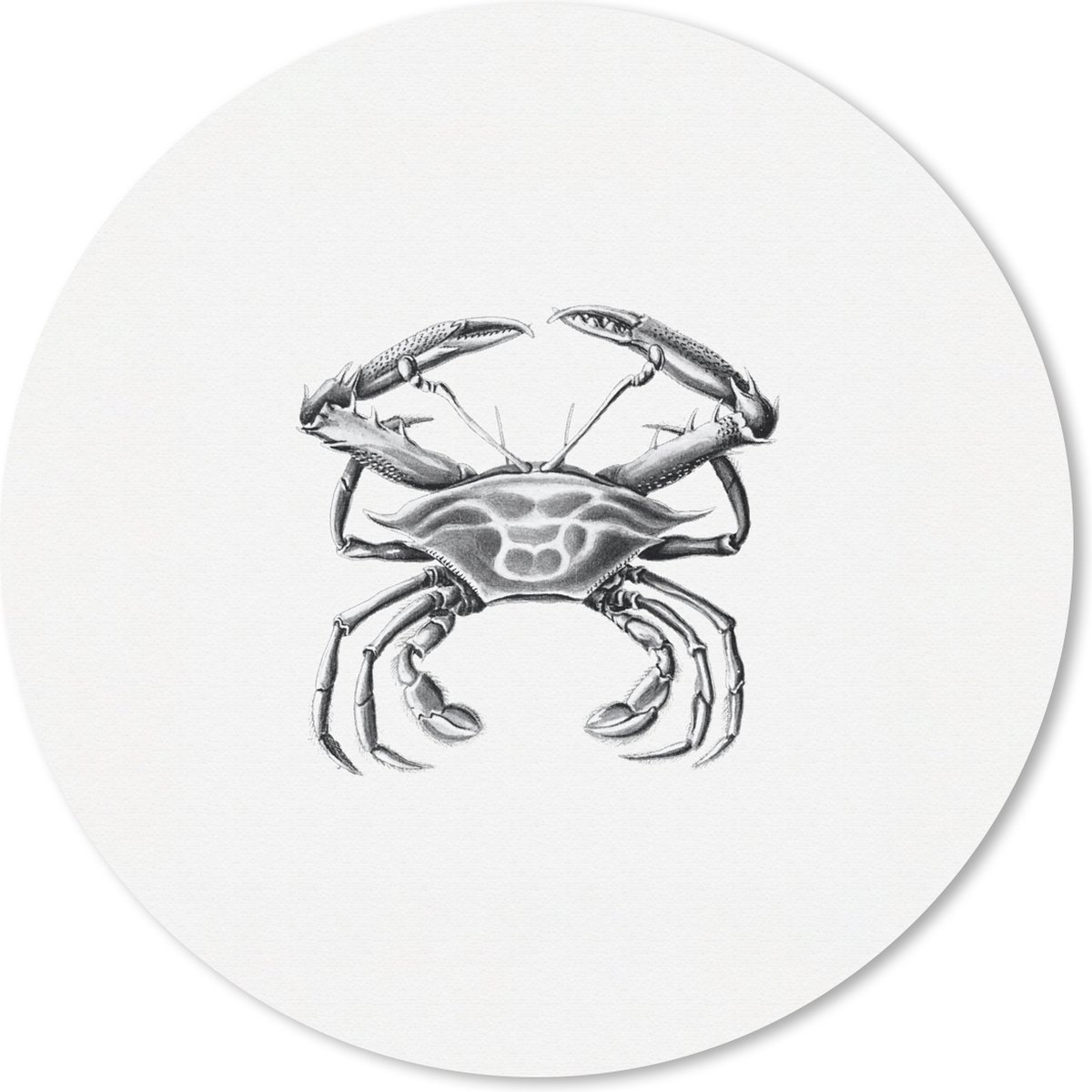 Muismat - Mousepad - Rond - Ernst Haeckel - Vintage - Kunst - Krab - 20x20 cm - Ronde muismat