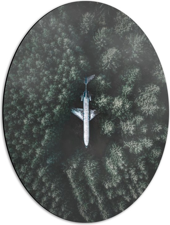 WallClassics - Dibond Ovaal - Neergestort Vliegtuig in Bos - 42x56 cm Foto op Ovaal (Met Ophangsysteem)