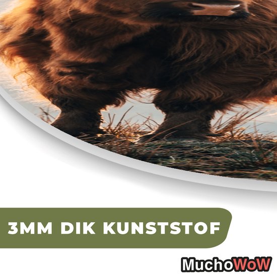 Wall Oval - Décoration murale en plastique - Peinture ovale - Highlander écossais - Animaux - Rural - Paysage - 40x60 cm - Miroir ovale sur plastique