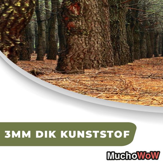 Décoration murale bio - Décoration murale en plastique - Tableau bio - Automne - Décoration rurale - Forêt - 90x90 cm - Forme miroir bio sur plastique