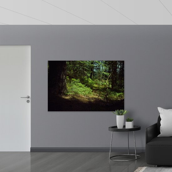WallClassics - Panneau en mousse PVC – Ombre dans la forêt – 150 x 100 cm Photo sur panneau en mousse PVC