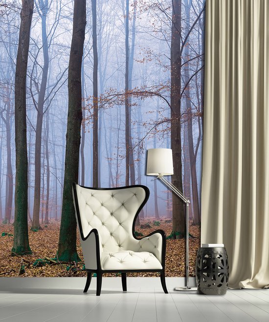 Papier peint photo King - Forêt avec Arbres nus - Papier peint non tissé peint intissé - Papier peint - 368 x 254 cm