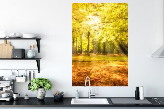 Affiche Arbre - Nature - Soleil - Paysage - Forêt - 80x120 cm