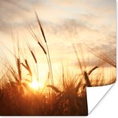 Poster Riet - Gras - Zonsondergang - Natuur - Horizon - 50x50 cm - Kerstversiering - Kerstdecoratie voor binnen - Kerstmis