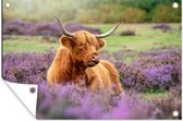 Muurdecoratie Schotse hooglander - Bloemen - Licht - 180x120 cm - Tuinposter - Tuindoek - Buitenposter