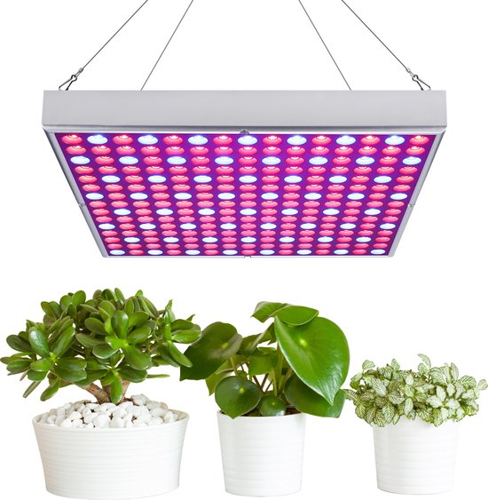 Fecida Personnalisable 260w 240w Dimmable Suspendu Spectre Complet Led Élèvent L