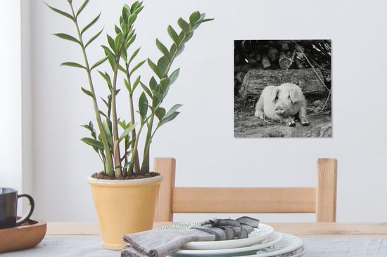 Cochon couché en toile noire et blanche 2cm