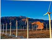 WallClassics - PVC Schuimplaat- Rij Windmolens bij Bergen - 80x60 cm Foto op PVC Schuimplaat