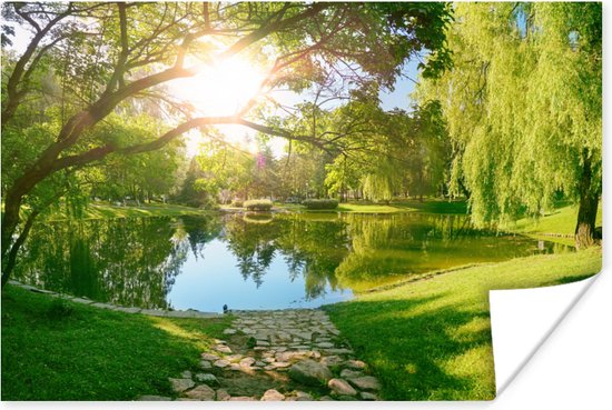 Poster Bomen - Meer - Zon - Gras - Natuur - 90x60 cm