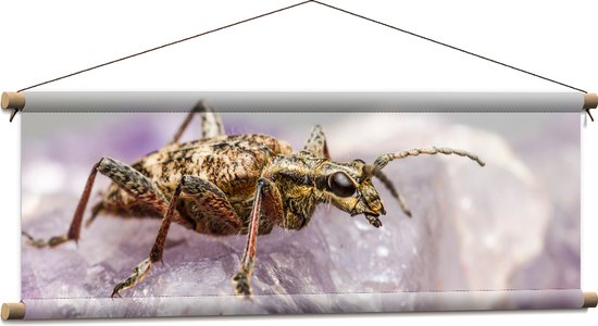 WallClassics - Textielposter - Insect op een Paars Kristal - 90x30 cm Foto op Textiel