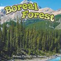 Biomes - Seasons Of The Boreal Forest Biome
