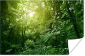 Affiche Jungle - Plantes - Feuilles - 180x120 cm XXL