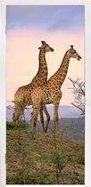 Deursticker Giraffes - Lucht - Landschap - 95x215 cm - Deurposter