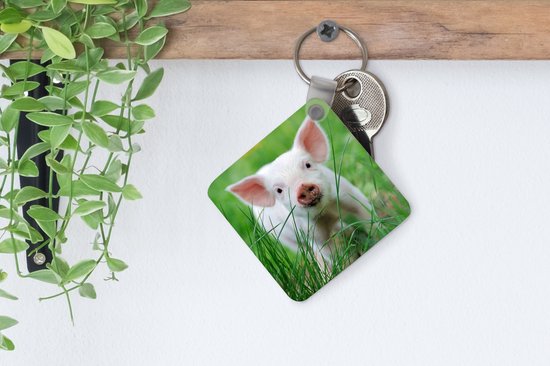 Porte-clés - Cadeaux - Cochon - Animaux - Porcelet - Plastique
