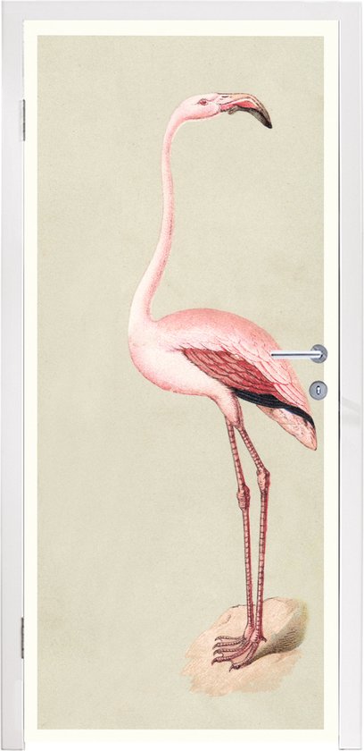 Deursticker Antieke Vogelprenten - Antieke vogelprent flamingo - 85x205 cm - zelfklevende deurposter - bubbelvrij en herpositioneerbare deursticker