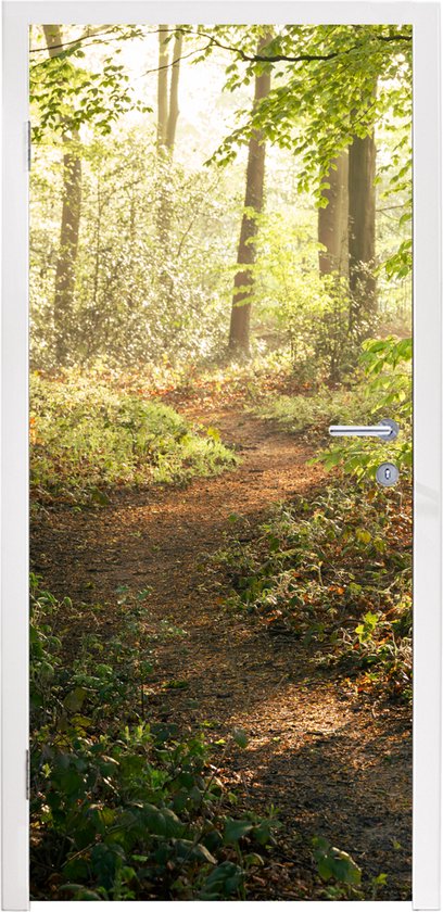 Deursticker Bos - Bomen - Pad - Zon - Planten - Bladeren - Natuur - 95x215 cm - Deurposter