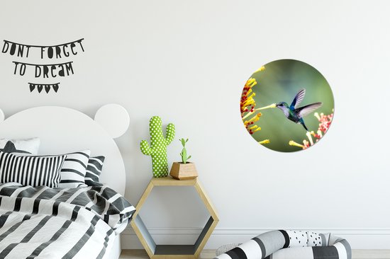 WallCircle - Cercle mural - Cercle mural - Nymphe des bois couronnée pourpre dans le parc national du Costa Rica - Aluminium - Dibond - ⌀ 30 cm - Intérieur et Extérieur