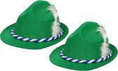 Partyxlosion Tiroler hoedje voor volwassenen - 4 stuks - groen