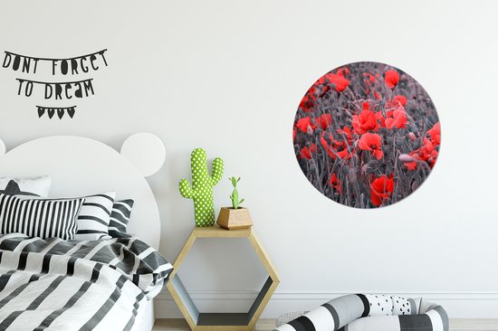WallCircle - Wall Circle - Wall Circle Indoor - Coquelicots rouges dans une image en noir et blanc - 60x60 cm - Décoration murale - Peintures ronds