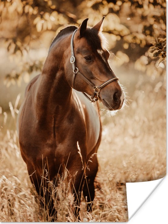 Poster kinderen - Paard - Portret - Natuur - Bruin - Kinderen - Poster kinderkamer - Kinderposter - Muurposter - Fotoposter - 30x40 cm - Muurposters slaapkamer - Kamer decoratie - Wanddecoratie