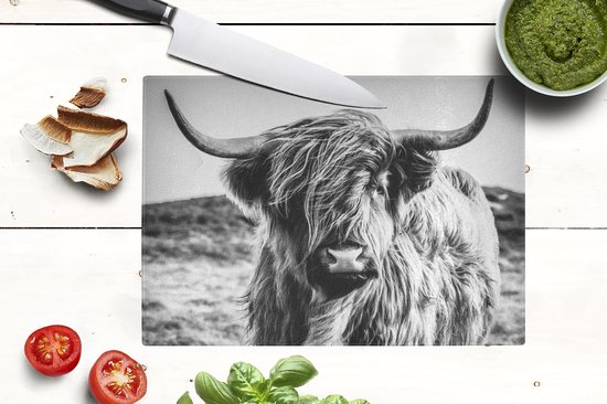 Planche à découper en Verres - 28x20 - Scottish Highlander - Nature - Vache - Zwart - Wit - Planches à découper en Glas