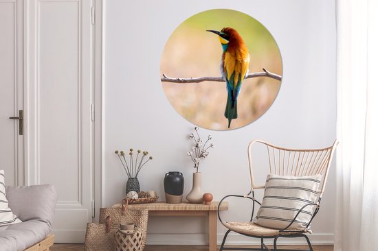 WallCircle - Cercle Mural - Cercle Mural - Vogels - Guêpier - Animaux - Aluminium - Dibond - 140x140 cm - Intérieur et Extérieur