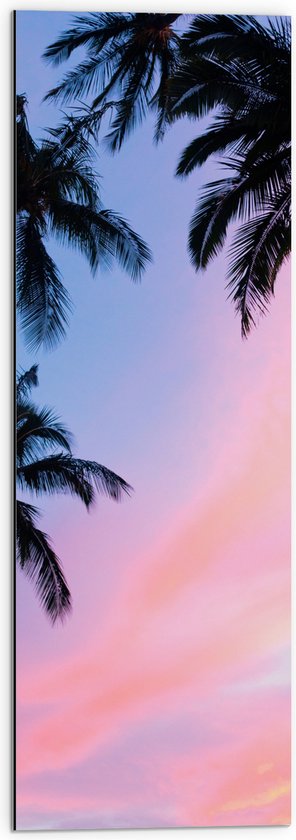 WallClassics - Dibond - Silhouet van Palmbomen bij Pastekleuren in de Lucht - 30x90 cm Foto op Aluminium (Wanddecoratie van metaal)