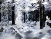 Fotobehangkoning - Behang - Vliesbehang - Fotobehang Winter in het Bos - 400 x 309 cm