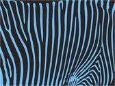 Papier peint photo - Motif Zebra (turquoise).