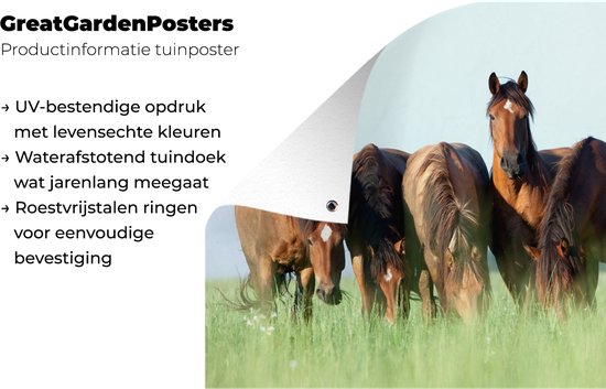 Affiche jardin - Toile jardin - Posters de jardin extérieur - Paarden - Animaux - Herbe - Été - 120x80 cm - Jardin