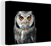 Canvas - Dieren - Uil - Vogel - Oranje - Zwart - Canvasdoek - 80x60 cm - Schilderijen op canvas - Muurdecoratie
