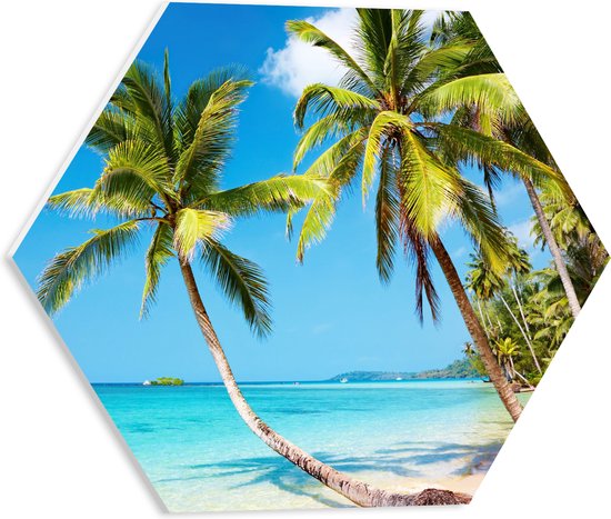 WallClassics - PVC Schuimplaat Hexagon  - Tropisch Strand met Palm Bomen - 40x34.8 cm Foto op Hexagon (Met Ophangsysteem)