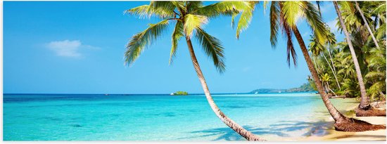 WallClassics - Poster Glanzend – Tropisch Strand met Palm Bomen - 90x30 cm Foto op Posterpapier met Glanzende Afwerking