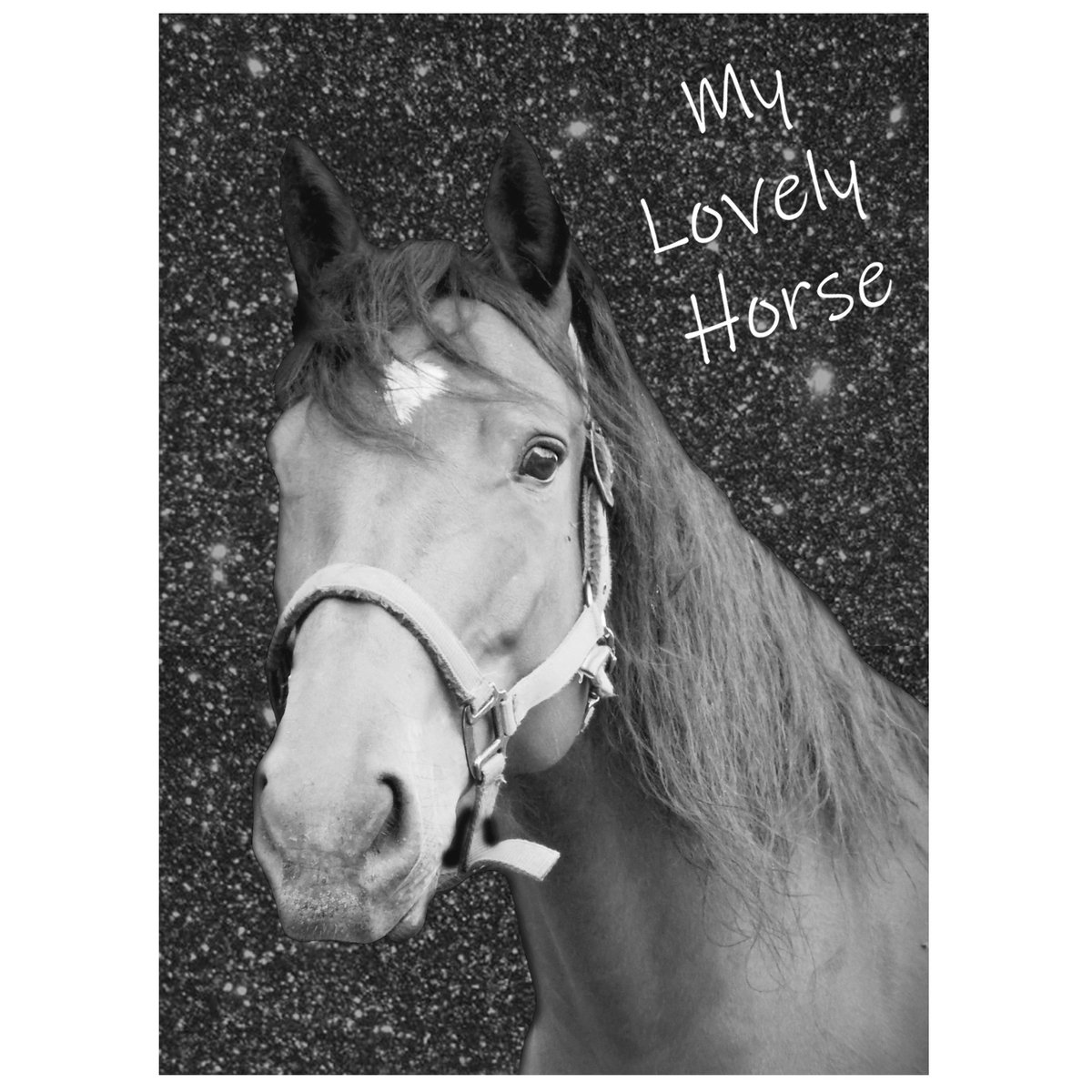Animal Pictures Lovely Horse - Dagboek - A6