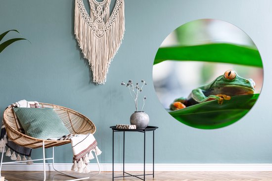 WallCircle - Muurstickers - Behangcirkel - Kikkers in de natuur van Costa Rica - ⌀ 120 cm - Muurcirkel - Zelfklevend - Ronde Behangsticker XXL