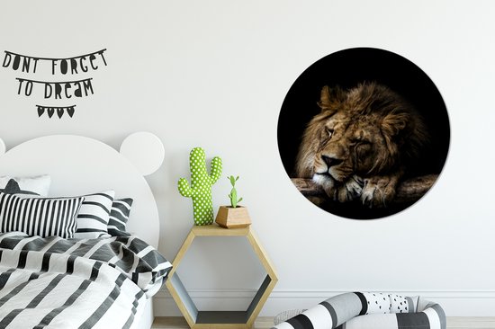 Papier peint Circle - Lion - Arbre - Marron - 100x100 cm XXL