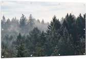 WallClassics - Tuinposter – Boomtoppen van het Bos in de Winter - 150x100 cm Foto op Tuinposter  (wanddecoratie voor buiten en binnen)