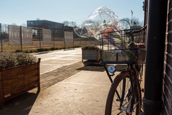 Fastrider Olav Porte-vélos Avant - Zwart - 27 L - Montage fixe - Métal