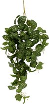 Artificial plant Hanging Philodendron