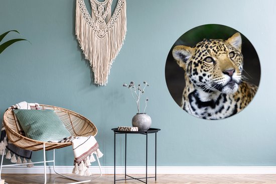 Wallpaper Circle - Léopard - Tête - Forêt - 100x100 cm - Wall Circle XXL