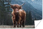 Poster Schotse hooglander - Berg - Landschap - Bomen - Koe - Natuur - 120x80 cm