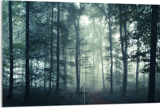 WallClassics - Acrylglas - Mist in een Donker Bos - 120x80 cm Foto op Acrylglas (Met Ophangsysteem)