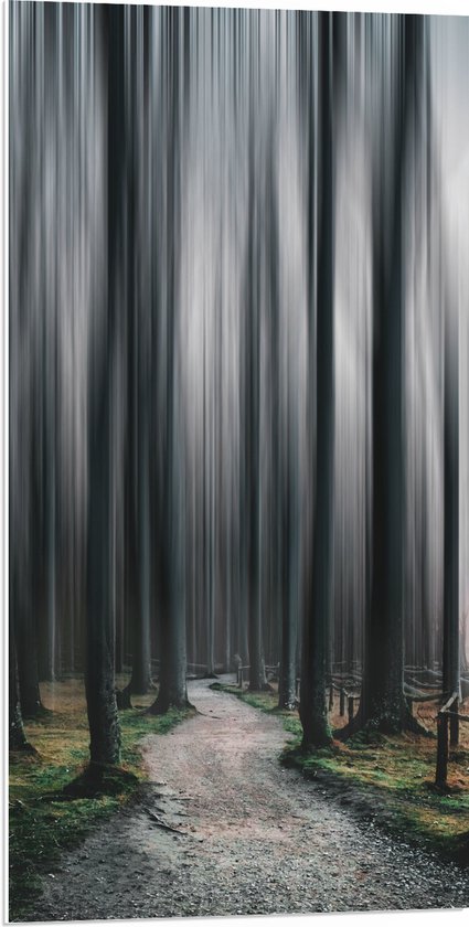 WallClassics - PVC Schuimplaat - Hele Hoge Abstracte Bomen - 50x100 cm Foto op PVC Schuimplaat (Met Ophangsysteem)