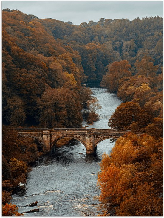 WallClassics - Poster (Matte) - Arbres d'Automne au Pont sur la Rivière - 30x40 cm Photo sur Papier Poster avec un aspect Mat