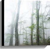 WallClassics - Canvas  - Kale Bomen in de Mist - 40x40 cm Foto op Canvas Schilderij (Wanddecoratie op Canvas)