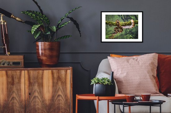 Cadre photo avec affiche - Serpent - Branche - Forêt tropicale - 40x30 cm - Cadre pour affiche