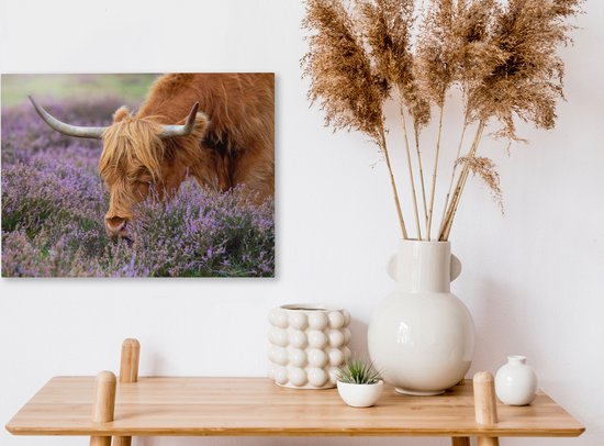 Tableau sur toile Scottish Highlander - Animaux - Bruyère - 40x30 cm - Décoration murale
