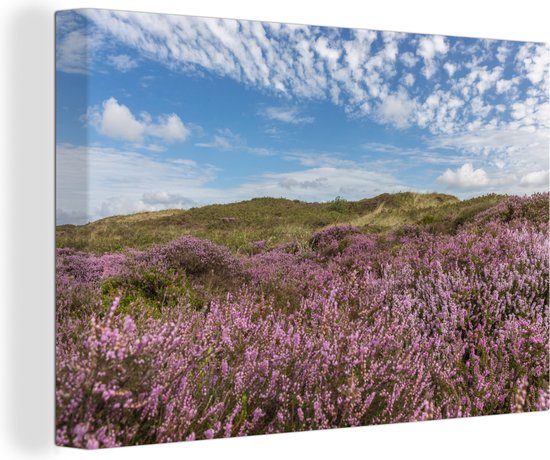 Canvas Schilderij Duin - Bloem - Waddeneilanden - 90x60 cm - Wanddecoratie